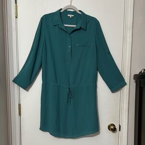 Naked Zebra Teal Blouse